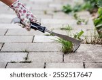 Remove Weeds from Paving Stones And Patios Use Weeding Knife. Effectively Removing Weeds From Pavers by Hand Knife Tool. No Pesticides Herbicides.	