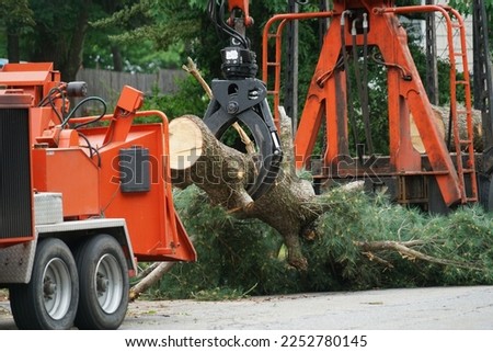 removed tree trunk by crane in residential area         