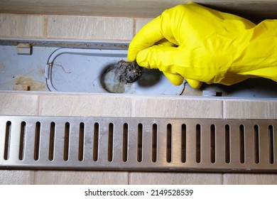 Removing Clogged Shower Drain, Gloved Hand Removes Hair Close-up