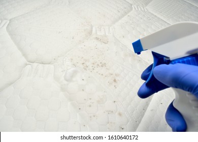 Removing Mold With A Foam Cleaner. Cleaning A Mattress Cloth With A Liquid Stain Remover. Fungus, Mildew Or Mould On The Fabric.