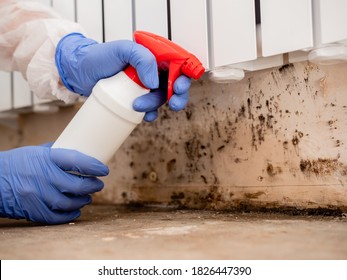Removing Mold From Internal Walls. Elimination of mold at home under the heating battery, Clouse-up. - Shutterstock ID 1826447390