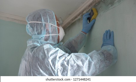 Removing Mold And Mildew. A Man Cleaning Mold From Wall Using Spray Bottle And Sponge