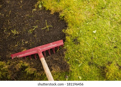 Moss Garden High Res Stock Images Shutterstock