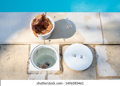 Removing A Pool Skimmer Basket To Empty The Leaves Out