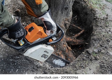 1,064 Root cutter Images, Stock Photos & Vectors | Shutterstock