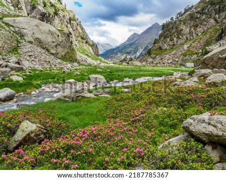 Remune gorge and river in Benasque Valley of Huesca pyrenees, Spain