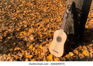 Renaissance Vihuela In A Autumn Garden