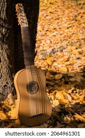 Renaissance Vihuela In A Autumn Garden