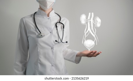  renal system issues medical concept. Photo of female doctor, empty space.  - Shutterstock ID 2135626219