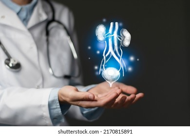  renal system issues medical concept. Photo of female doctor, empty space.  - Shutterstock ID 2170815891