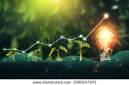 Renewable energy generation is essential in the future. Iluminated light bulb is located on soil and plant are growing. Successful sustainable business and pollution reduction.Green Eco energy. Imagine de stoc © 
