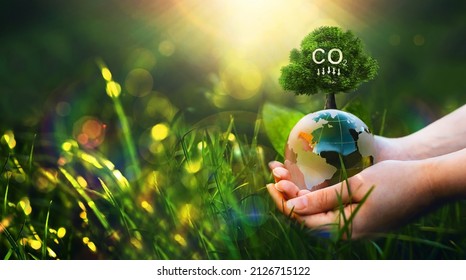 Renewable Energy-based Green Businesses Can Limit Climate Change And Global Warming. Clean And Environmentally Friendly Environment Without Carbon Dioxide Emissions.Reduce CO2 Emission Concept.