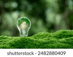 Renewable Energy.Green world map on the light bulb on green background.Environmental protection, sustainable energy sources.green energy, clean energy. Business goals.