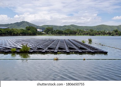 Renewable green energy from Solar energy, Floating Solar Cell panels in a water of big public park lake in Thailand, under concept of using Green and Clean Energy to save the planet earth with trees.