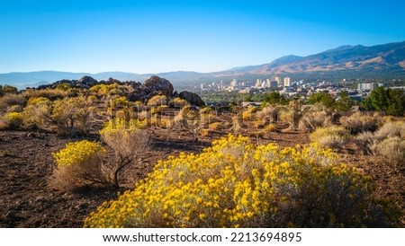 Reno autumn city skyline over Nuttall’s Rayless-Goldenrod flowers and red rock hill in the state capital of Nevada, aerial view of the arid landscape of the desert city