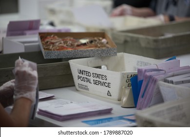 Reno, Nevada / USA - June 9 2020: Election Poll Workers Count Vote By Mail Ballots From United States Postal Service Boxes During Nevada's 2020 Primary Election. 