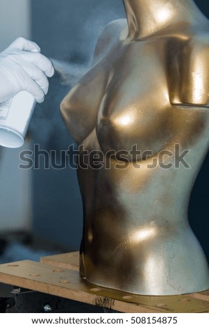 Similar – Image, Stock Photo mannequin with silver breast