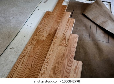 Renovation Of Home Floor With Exposed Plywood And Old Carpet With New Red Oak Wooden Boards