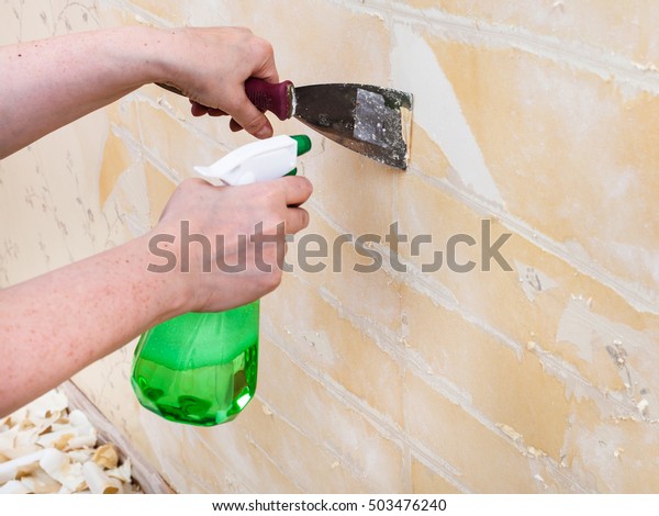 renovation of room: preparation of\
walls. Cleaning wall from wet old wallpaper with metal\
spatula