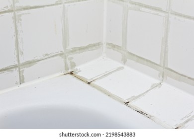 Rental damage concept: filthy tiles above the bath tub with black mold growing on calcifications on the tile grouting in a neglected old bathroom.