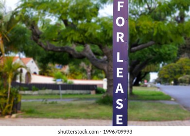 Rental Property Outdoor Street Sign. Real Estate And Housing Market Concept. No People. Copy Space.