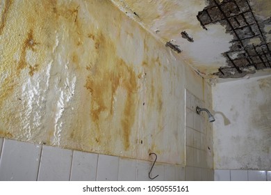 Imagenes Fotos De Stock Y Vectores Sobre Ceiling Tile