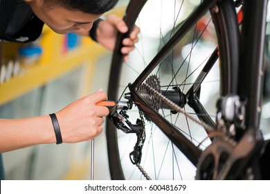 Repair Technician Bicycles Was Repaired Gear Bike Shop.