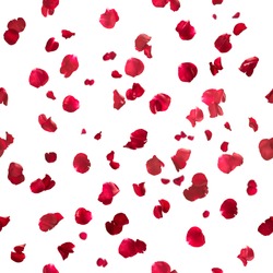 Repeatable Rose Petals In Red, Studio Photographed With Depth Of Field, Isolated On White