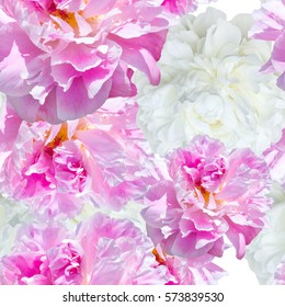 repeatable seamless pattern  scented fragrant trendy  pale pink and white peonies. Full bloom trend.