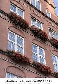 A repeating pattern of white-framed windows on a traditional European building with a muted red or terracotta facade. Each window features a flower box overflowing with vibrant red and pink blooms.