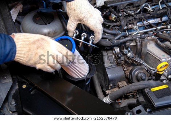 Replacing a new fuel filter on a modern car to\
clean the fuel from\
dirt.