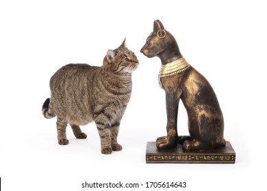 4,102 Cat God Images, Stock Photos & Vectors | Shutterstock