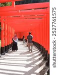 the replika Fushimi Inari-taisha Torii Gates in the great asia afrika