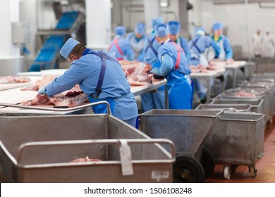 Reportage From Meat Processing Plant 