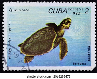 Republic of Cuba - CIRCA 1983: Postage stamp 'Kemp's Ridley Sea Turtle - Lepidochelys kempii' printed in Republic of Cuba. Series: 'Turtles', 1983