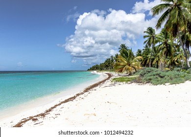 Republic Santo Domingo - Paradisiacal beaches - Shutterstock ID 1012494232