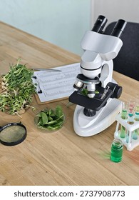 Research activities using a microscope to study plant samples on a wooden table in a lab setting during the day