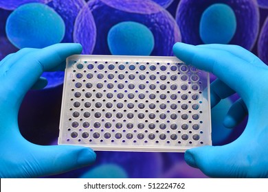 Research in biological laboratories. Hand in glove holding well microtiter plate on an abstract background cells of the body.