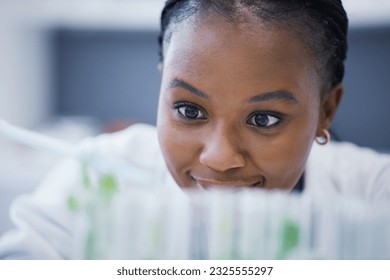 Research, black woman or scientist with plants in test tubes for analysis, sustainability or leaf growth. Science blur, studying biotechnology or ecology expert in a laboratory for agro development