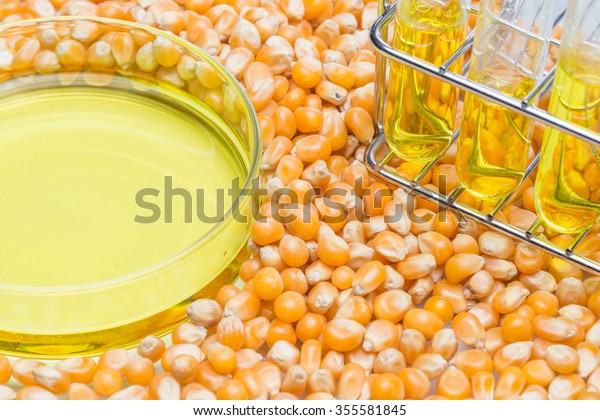 Research corn energy, biofuel and gmo in laboratory,\
yellow liquid in test\
tube