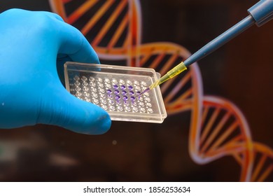 Research in the field of genomics. DNA testing.