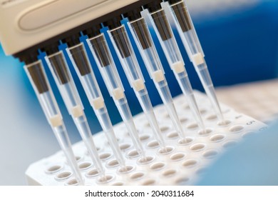 Research scientist pipetting SARS_CoV-2 samples to a plate using a multichannel pipette