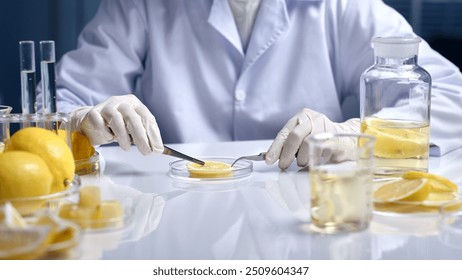 A researcher is conducting an experiment with lemon segments placed in a petri dish, surrounded by lemon parts and glass laboratory equipment. Simple laboratory setting. - Powered by Shutterstock