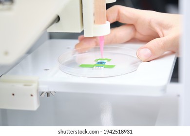 Researcher Getting 3D Bioprinter Ready To 3D Print Cells Onto An Electrode. Biomaterials, Tissue Engineering Concepts.