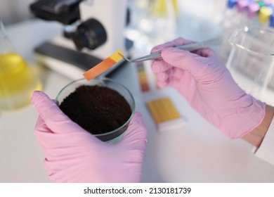 Researcher Hold Small Glass Flask With Soil, Performing Ph Test Strip