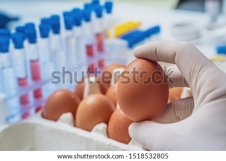 Researcher is holding egg in hand. Food inspection and analysis concept.