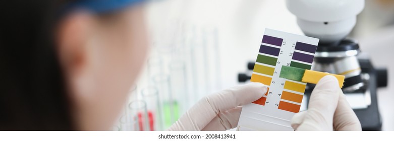 Researcher Holds Ph Test Strip For Research.