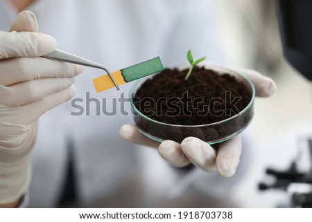 Researcher holds small-stemmed glass flask with soil with Ph test strip. Scientific research in botany concept