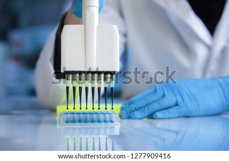 researcher pipetting samples in plate with multi well in the clinical lab / biochemical engineer working with fluid samples in plate multi well in the laboratory