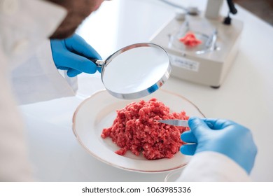 Researcher Studying Sample Of Artificial Meat In Modern Laboratory